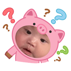 nori_20260509090235