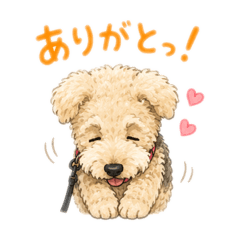 Yoshinoya.Inc.._20260509091109