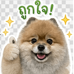 BallPom