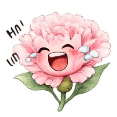 Carnation.for.u