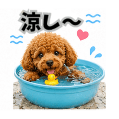 YUZUKABO_20260509091949