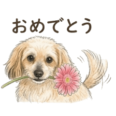 musakojigenki_20260509091529