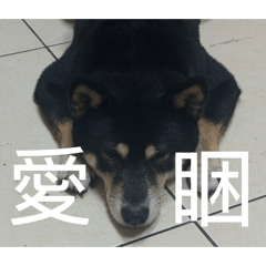 噗比123