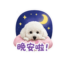 小狗の快樂日常