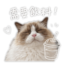 米米不上班