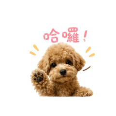 我的「咘」可愛