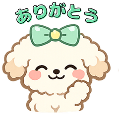 pink mint poodles