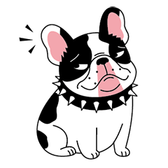 A Little Lazy French Bulldog