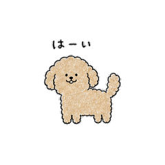 Fluffy Curly Poodle Stickers