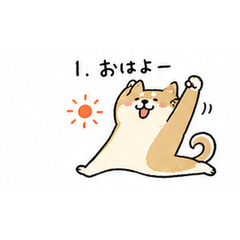 Chubby Shiba Inu: Everyday Words
