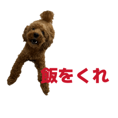 riri_20260509093421