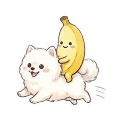 Cute dog and banana