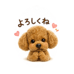 chachamaru_20260509092409