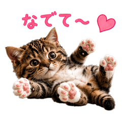 mokacat stamp_20260509093937