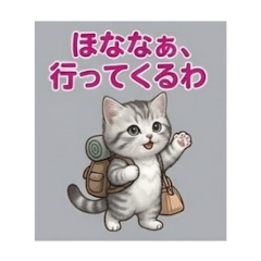 Akashi-neko_20260509094022