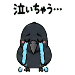 Crow Janapnese Greeting 01
