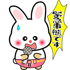 nobobi うさっぴGirl