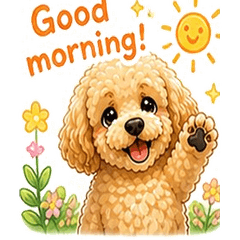 Apricot Poodle English Stickers