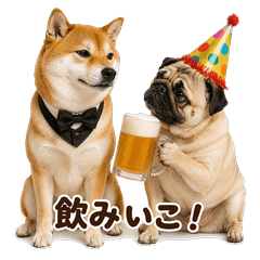 Shiba and Pug Drinking Party