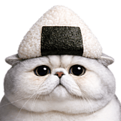 ブサカワ猫エキゾチックの毎日【5】グルメ