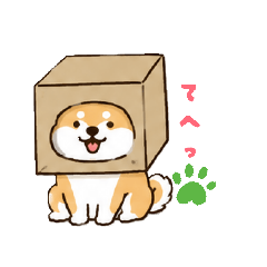 SAKI_20260509094644