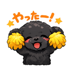 Black Toy Poodle 1
