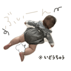 pon216_20260509095109