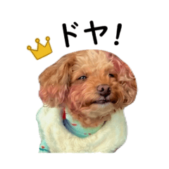 EBIN_20260509094953