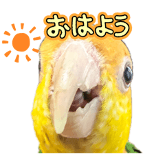 sunaba_20260509094746