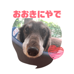 yuzuchannel