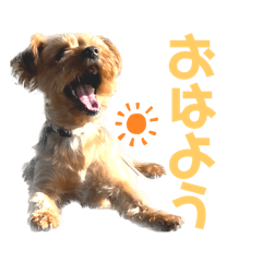 Yorkshire Terrier Stamp ...