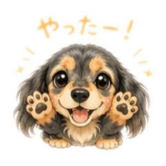 runa-Miniature Dachshund