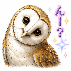 Sparkling Barn Owl Stickers  Cute & Bold