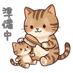 A Brown Tabby's Musings 6