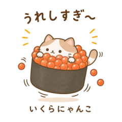 susinyanko2 (cat)