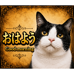 a lot of cats_20260509130811