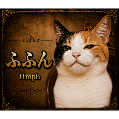 a lot of cats_20260509131239