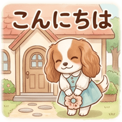 Carol the Cavalier: Fluffy Life