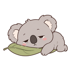 The Lazy Koala Life