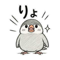 Scribbly Reply Sparrow
