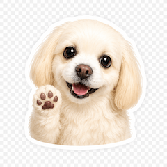 White-Pekehund Dog Sticker