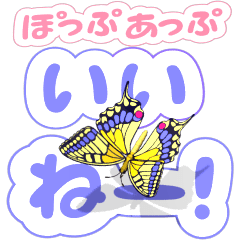 Rainbow Butterfly 18 (pop-up)
