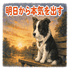Border Collie Lazy Stickers NanoLife