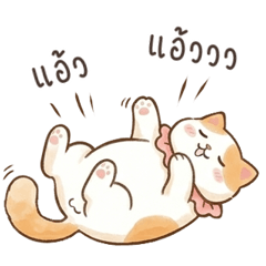Meow!Chat with cat language.