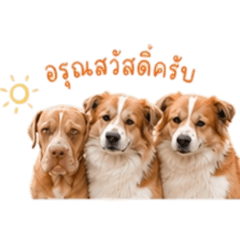 Fluffy Gang_20260428161500
