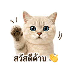Thanyachanok_20260428161547