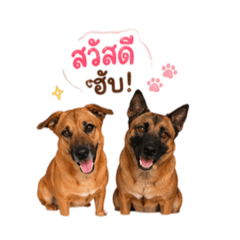 kaitoon and kaitom