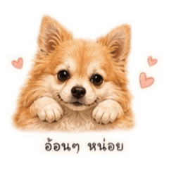 Babecat_20260504034110
