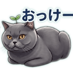 shuu_20260509100255