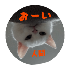 animallove_20260509101543